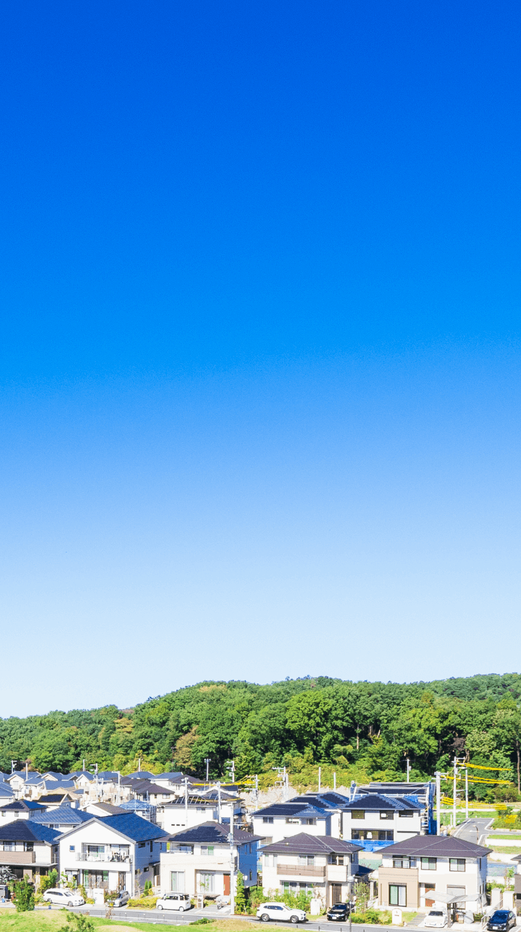 写真：青空の下に広がる南予の街並み